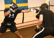 Sparring AIK-Hammarby, Herrar  (Boxning)