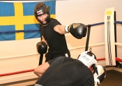 Sparring AIK-Hammarby, Herrar  (Boxning)