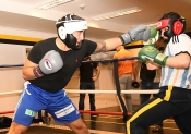 Sparring AIK-Hammarby, Herrar  (Boxning)