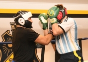 Sparring AIK-Hammarby, Herrar  (Boxning)