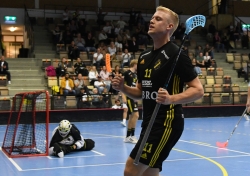 AIK - Storvreta.  4-8