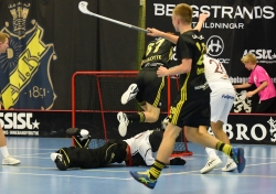 AIK - Storvreta.  4-8