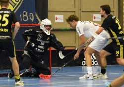 AIK - Storvreta.  4-8