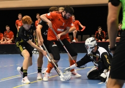 AIK - Tullinge.  7-5