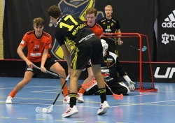 AIK - Tullinge.  7-5