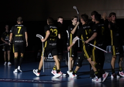 AIK - Tullinge.  7-5