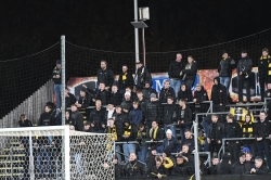 Publikbilder. Halmstad-AIK