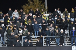 Publikbilder. Halmstad-AIK