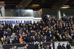 Publikbilder. Halmstad-AIK