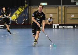 AIK - Salem.  7-3