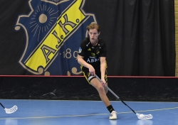 AIK - Salem.  7-3