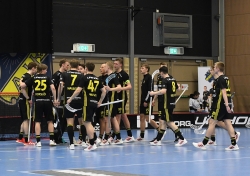 AIK - Salem.  7-3