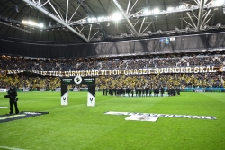 Publikbilder. AIK-Norrköping 