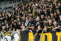 Publikbilder. Hammarby-AIK