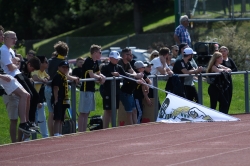 Publikbilder. AIK-Örebro