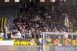 Publikbilder. Elfsborg-AIK