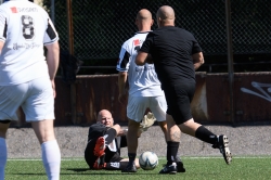Årets Råttjävlar