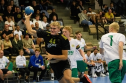 AIK - Hammarby. 29-35  (Handboll)