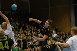 AIK - Hammarby. 29-35  (Handboll)