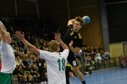 AIK - Hammarby. 29-35  (Handboll)