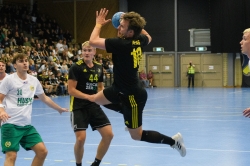 AIK - Hammarby. 29-35  (Handboll)