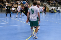 AIK - Hammarby. 29-35  (Handboll)