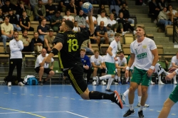 AIK - Hammarby. 29-35  (Handboll)