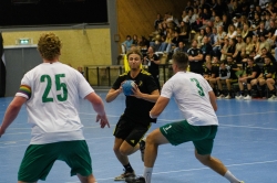 AIK - Hammarby. 29-35  (Handboll)