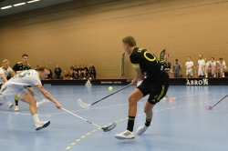 AIK - Thorengruppen.  3-6