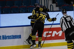 AIK - Björklöven. 4-0