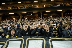 Publikbilder. AIK-Häcken