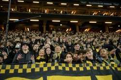 Publikbilder. AIK-Häcken