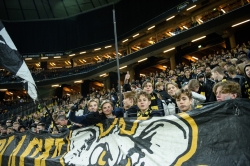 Publikbilder. AIK-Häcken