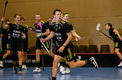 AIK - Storvreta.  4-5  Efter förl.