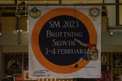 Brottnings-SM  (Fredag)