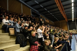 Publikbilder. AIK-Linköping