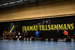 AIK - Alunda.  5-3  (Dam)