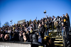 Publikbilder. Halmstad-AIK