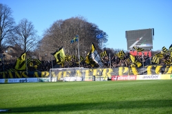 Publikbilder. Halmstad-AIK