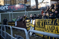 Publikbilder. Halmstad-AIK