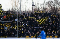 Publikbilder. Halmstad-AIK