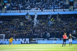 Publikbilder. Malmö-AIK