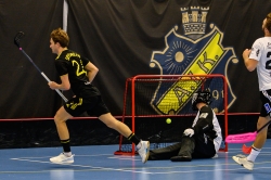 AIK - Sirius.  8-6