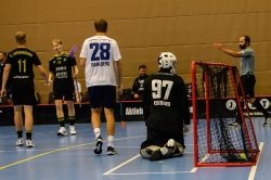 AIK - Älvsjö.  8-6