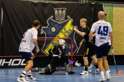 AIK - Älvsjö.  8-6