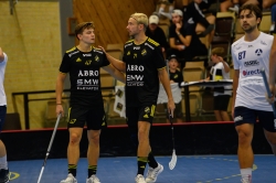 AIK - Älvsjö.  8-6