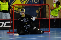 AIK - Älvsjö.  8-6