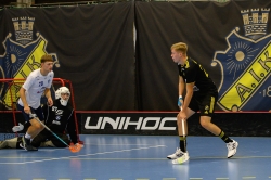 AIK - Älvsjö.  8-6