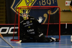 AIK - Älvsjö.  8-6