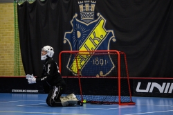 AIK - Älvsjö.  8-6